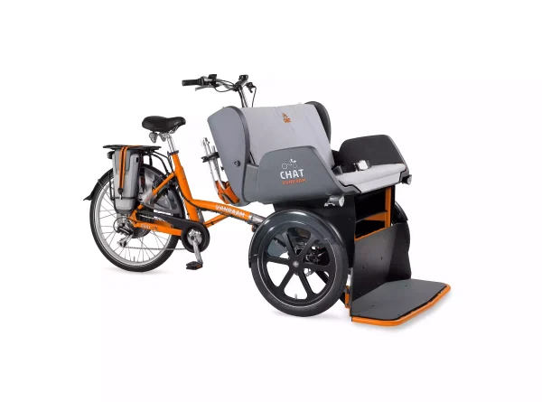 Triporteur électrique_Chat
