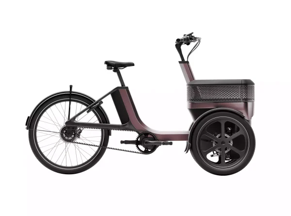 Tricycle adulte électrique moderne et confortable