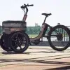 Tricycle adulte électrique_Déplacements quotidiens en ville