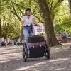 Tricycle adulte électrique_Stable et facile à utiliser