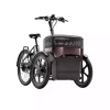 Tricycle adulte électrique_Thuja