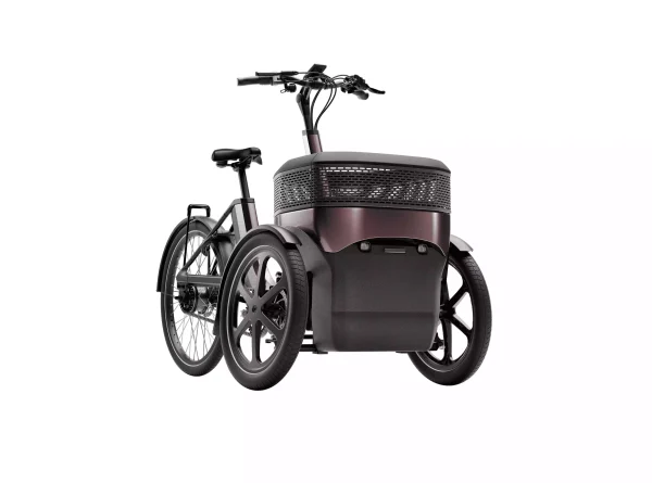 Tricycle adulte électrique_Thuja