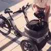 Tricycle adulte électrique_Transport de charges à l'avant