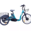 Tricycle électrique adulte pas cher
