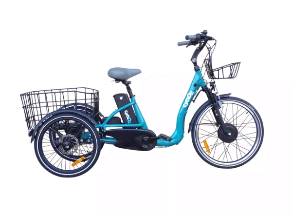 Tricycle électrique adulte pas cher