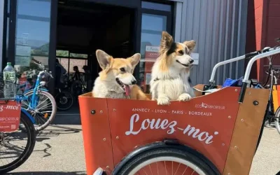 Triporteur velo : nos 8 conseils pour se déplacer sereinement